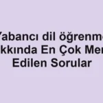 yabanci-dil-ogrenme-hakkinda-en-cok-merak-edilen-sorular.webp